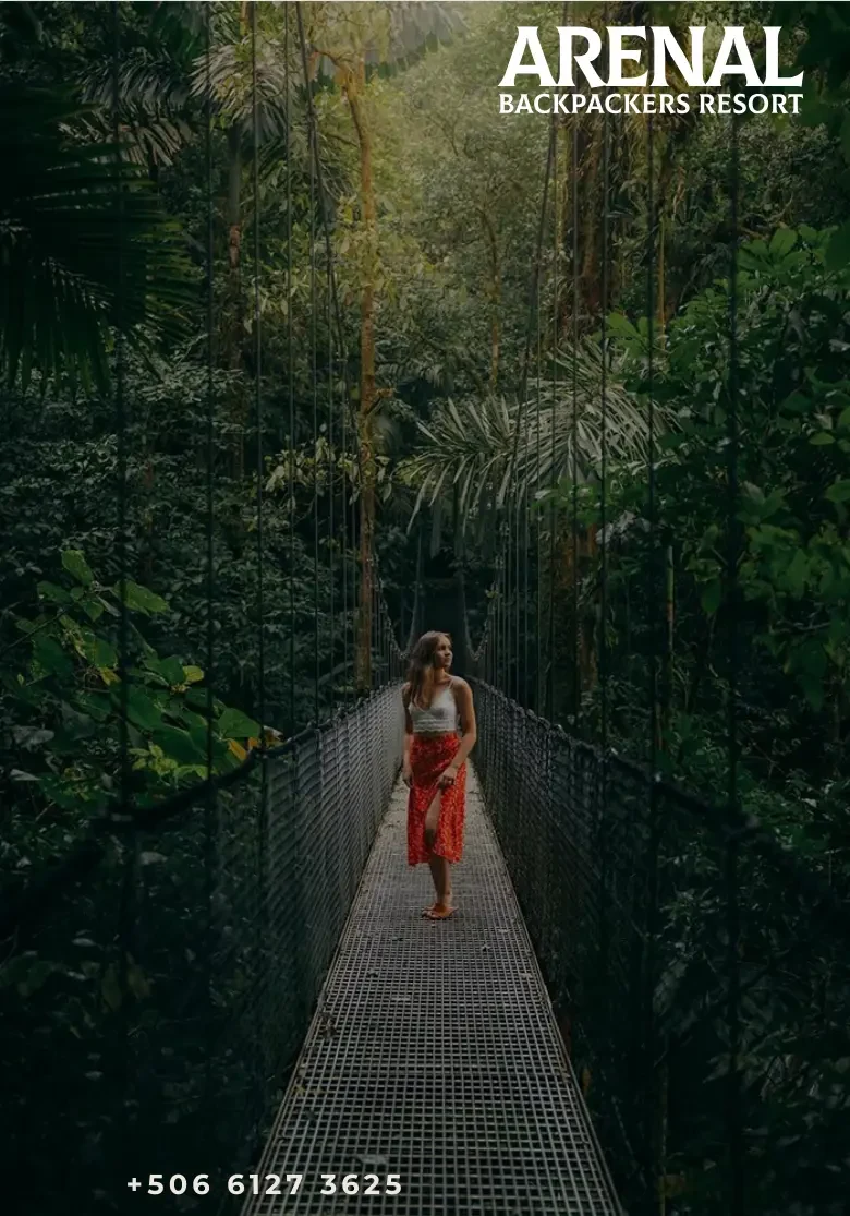 Mistico Hanging Bridges