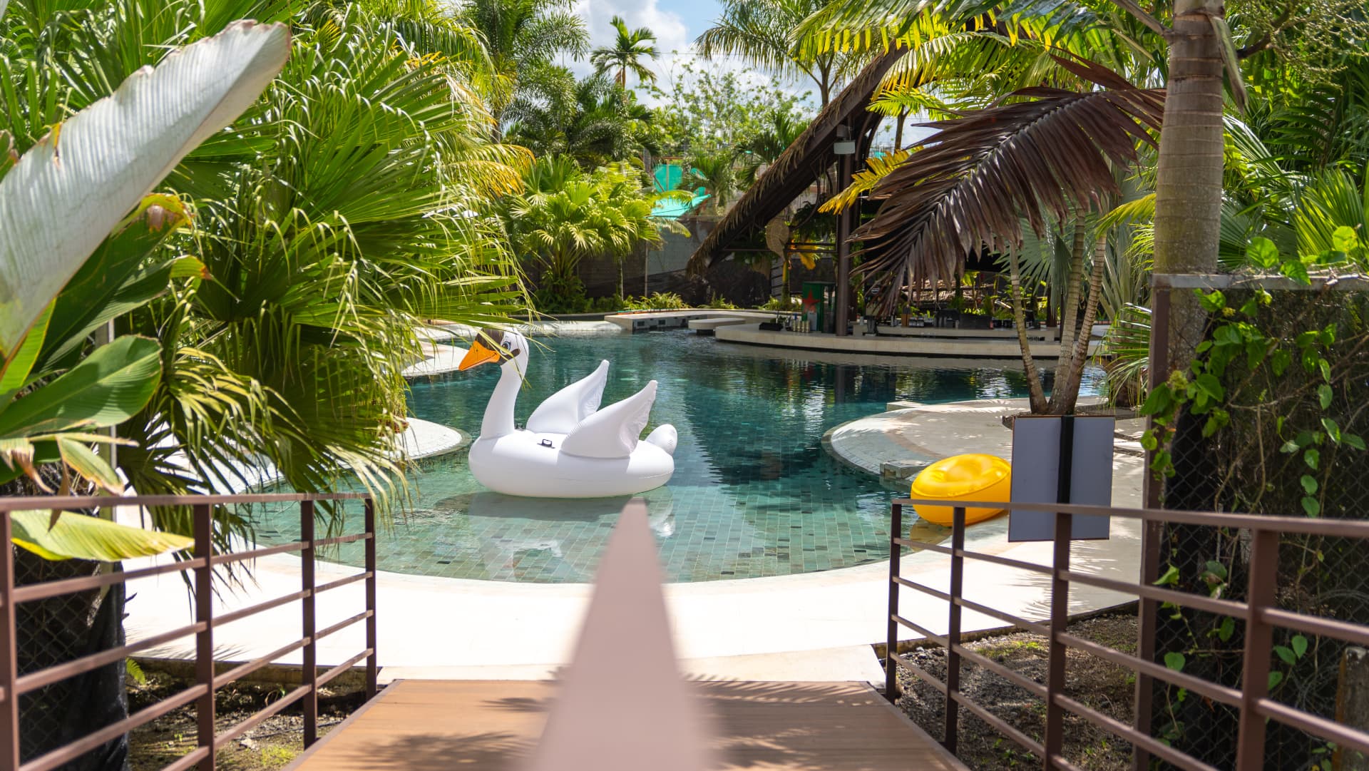 The tropical swimming pool framed by lush palms